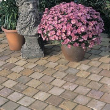 Natural Sandstone Setts 100 x 100mm Fossil Buff