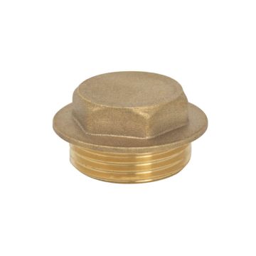 Brass Plug 1 1/4" 