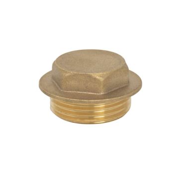 Screwed Brass Fittings Brass Plugs 1"