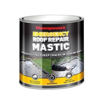 Thompsons Roof Repair Mastic 750ml 570952