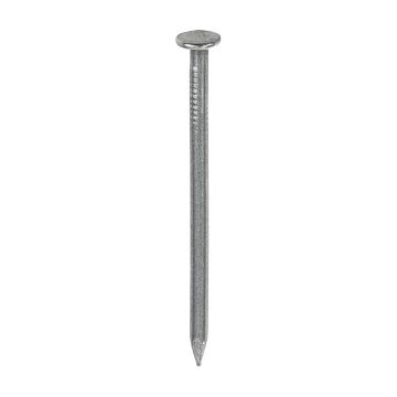 Timbag Nail Range Bright Round Wire 1Kg 50 x 2.65 