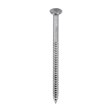 Timbag Nail Range SS Annular Ring Shank 1kg 50 x 2.65