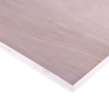 Eucalyptus Plywood 2440 x 1220 x 25mm