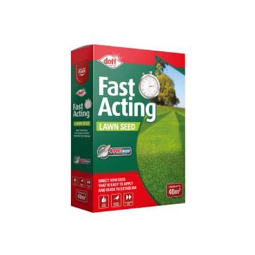 Fast Growing Lawn Seed 500g