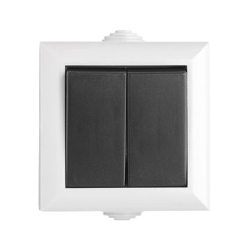 Waterproof 2 Gang 1 Way Switch PPJ082G JF216D 