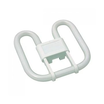 16W 2-D 2 Pin White GR8 Lamp WWP4162